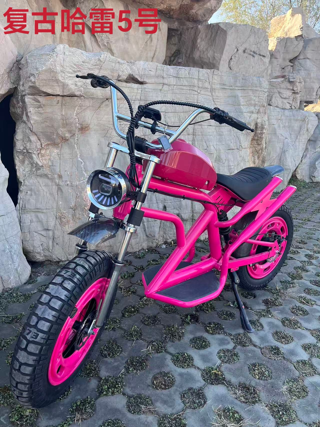 Vintage Harley No. 5